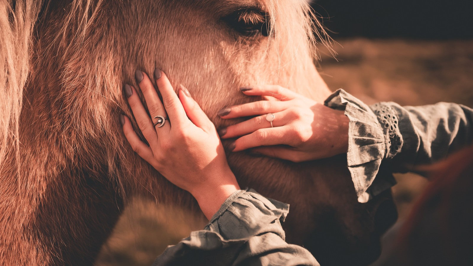 Woman gently comforting a calm horse while building trust